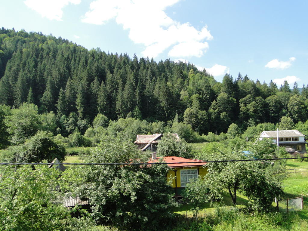 Bilogirya