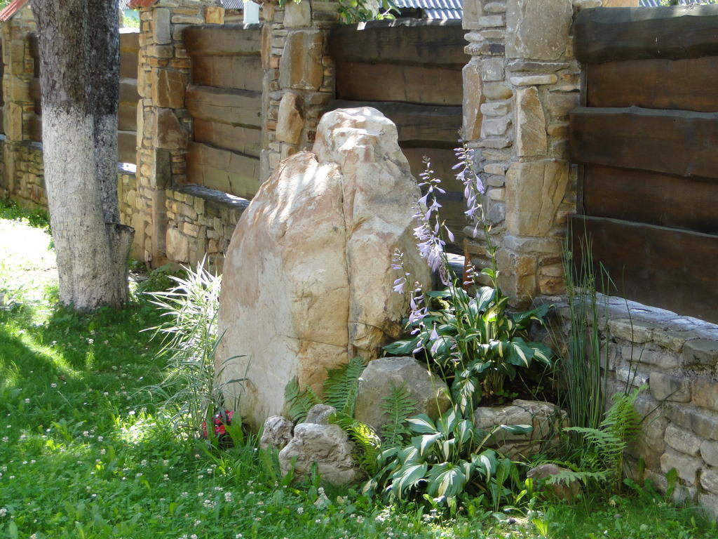 فيلة Bilogirya